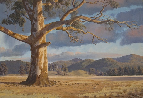 Australiab landscape art